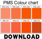 PM Colours