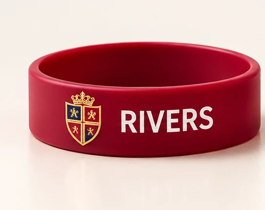 Illustrative Rivers House Burgundy Silicone Wristband with St Aldridge crest